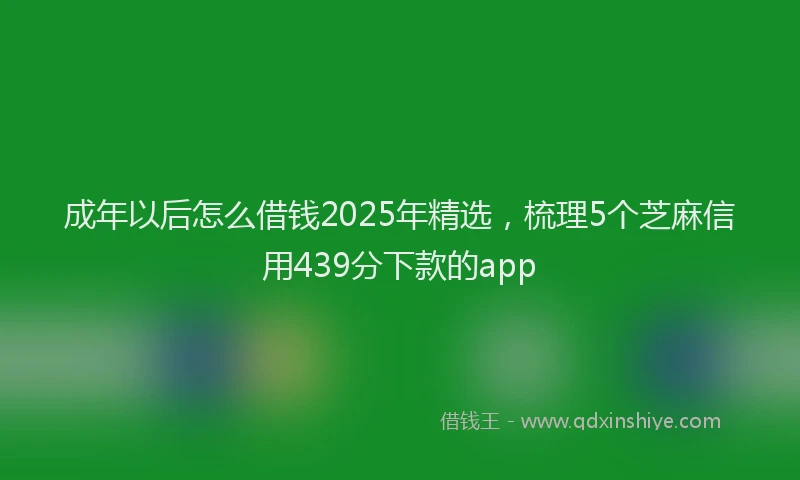 成年以后怎么借钱2025年精选，梳理5个芝麻信用439分下款的app