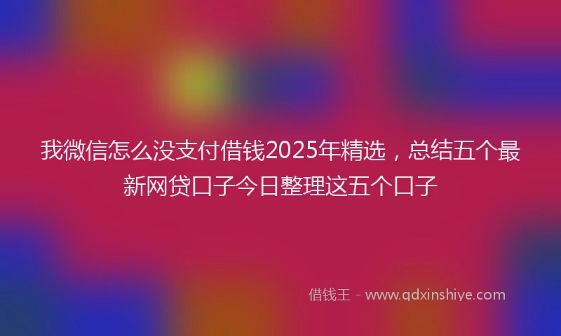 我微信怎么没支付借钱2025年精选，总结五个最新网贷口子今日整理这五个口子