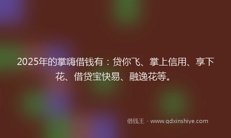 2025年的掌嗨借钱有：贷你飞、掌上信用、享下花、借贷宝快易、融逸花等。