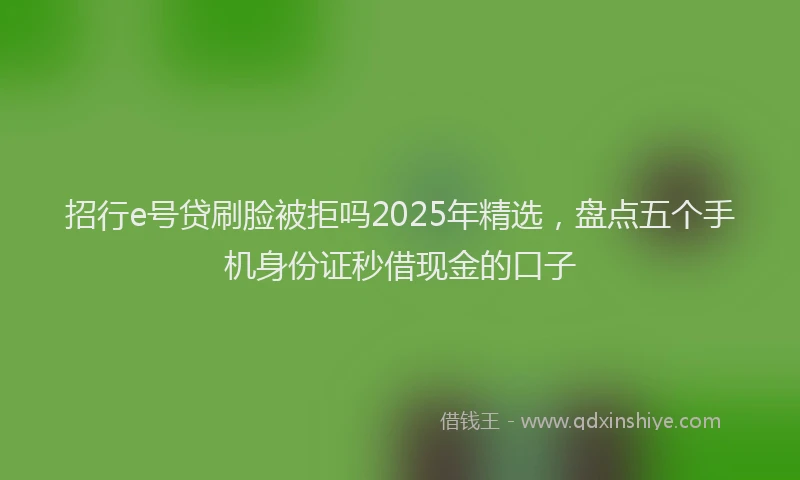 招行e号贷刷脸被拒吗2025年精选，盘点五个手机身份证秒借现金的口子