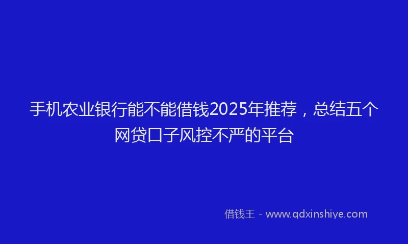 手机农业银行能不能借钱2025年推荐，总结五个网贷口子风控不严的平台