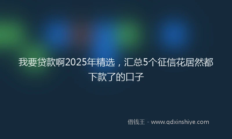 我要贷款啊2025年精选，汇总5个征信花居然都下款了的口子