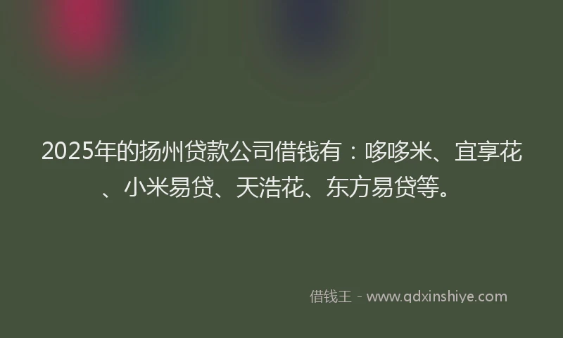2025年的扬州贷款公司借钱有：哆哆米、宜享花、小米易贷、天浩花、东方易贷等。