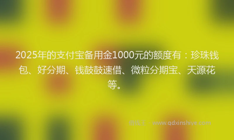 2025年的支付宝备用金1000元的额度有：珍珠钱包、好分期、钱鼓鼓速借、微粒分期宝、天源花等。
