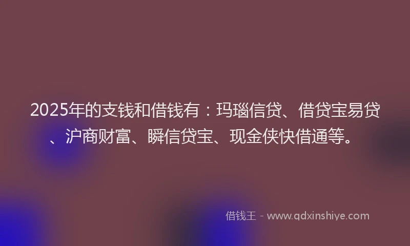 2025年的支钱和借钱有：玛瑙信贷、借贷宝易贷、沪商财富、瞬信贷宝、现金侠快借通等。