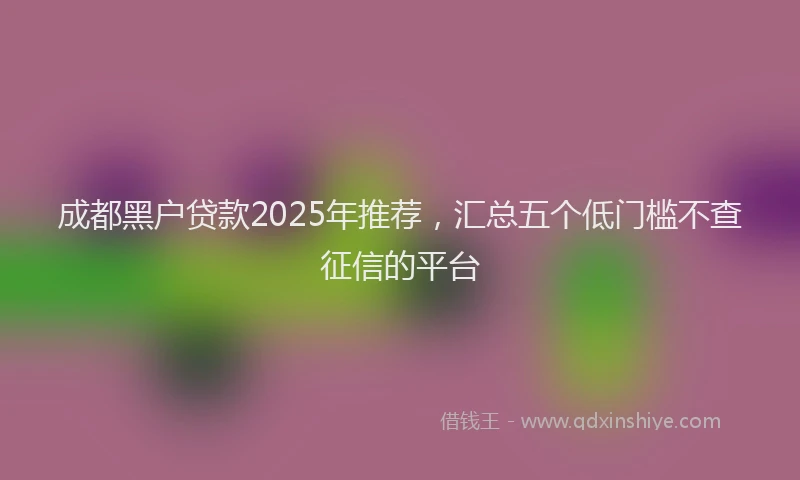成都黑户贷款2025年推荐，汇总五个低门槛不查征信的平台