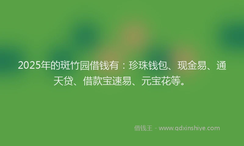 2025年的斑竹园借钱有：珍珠钱包、现金易、通天贷、借款宝速易、元宝花等。