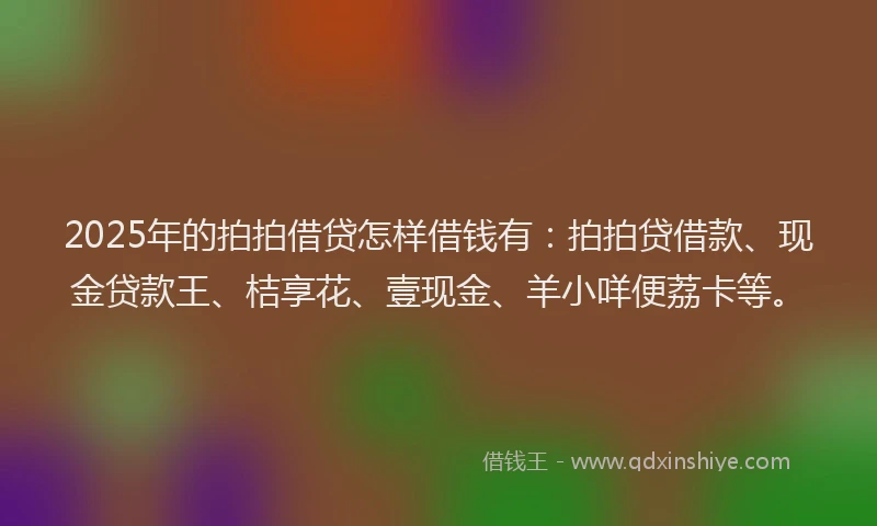 2025年的拍拍借贷怎样借钱有：拍拍贷借款、现金贷款王、桔享花、壹现金、羊小咩便荔卡等。
