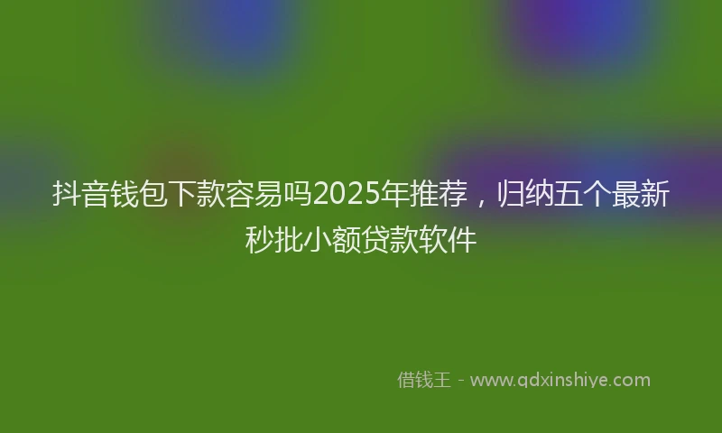 抖音钱包下款容易吗2025年推荐，归纳五个最新秒批小额贷款软件