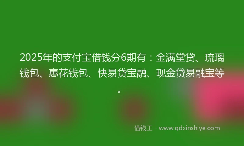 2025年的支付宝借钱分6期有：金满堂贷、琉璃钱包、惠花钱包、快易贷宝融、现金贷易融宝等。
