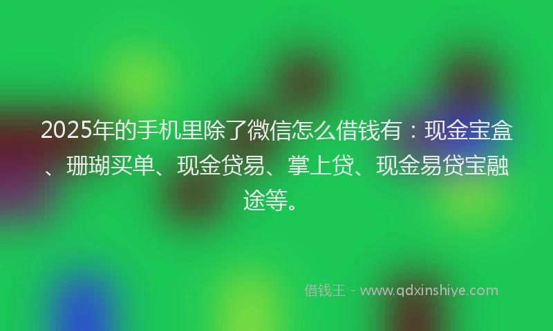 2025年的手机里除了微信怎么借钱有：现金宝盒、珊瑚买单、现金贷易、掌上贷、现金易贷宝融途等。