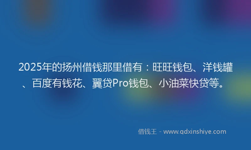 2025年的扬州借钱那里借有：旺旺钱包、洋钱罐、百度有钱花、翼贷Pro钱包、小油菜快贷等。