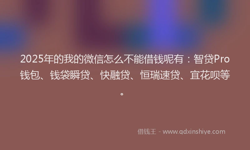 2025年的我的微信怎么不能借钱呢有：智贷Pro钱包、钱袋瞬贷、快融贷、恒瑞速贷、宜花呗等。