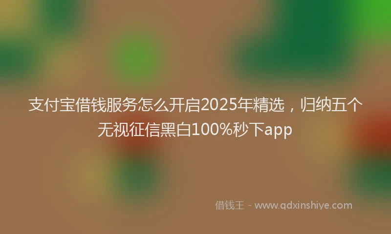 支付宝借钱服务怎么开启2025年精选，归纳五个无视征信黑白100%秒下app