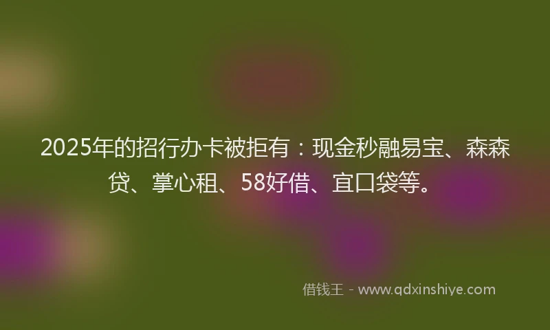 2025年的招行办卡被拒有：现金秒融易宝、森森贷、掌心租、58好借、宜口袋等。