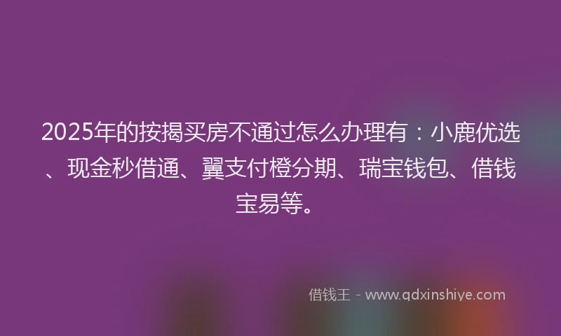 2025年的按揭买房不通过怎么办理有：小鹿优选、现金秒借通、翼支付橙分期、瑞宝钱包、借钱宝易等。