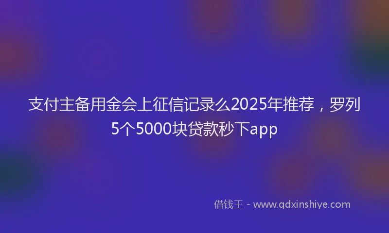 支付主备用金会上征信记录么2025年推荐，罗列5个5000块贷款秒下app