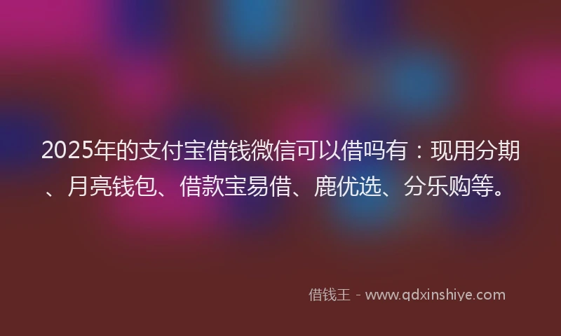2025年的支付宝借钱微信可以借吗有：现用分期、月亮钱包、借款宝易借、鹿优选、分乐购等。