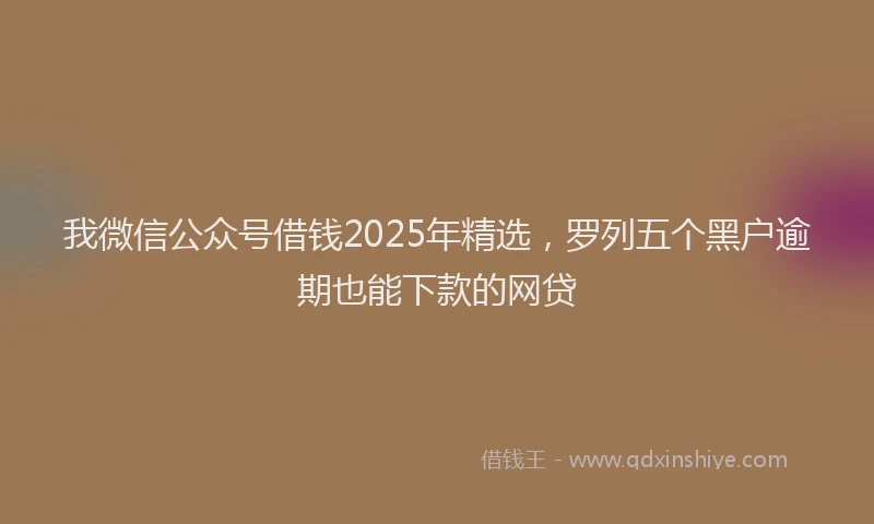我微信公众号借钱2025年精选，罗列五个黑户逾期也能下款的网贷