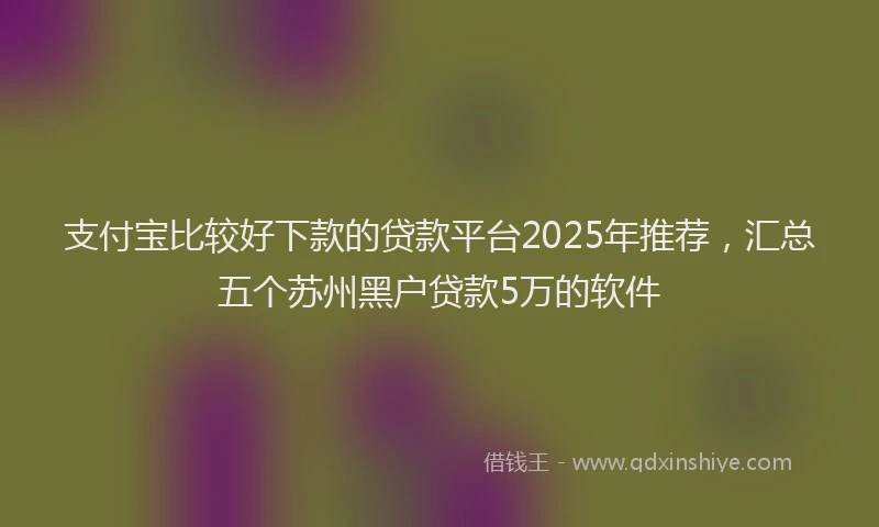 支付宝比较好下款的贷款平台2025年推荐，汇总五个苏州黑户贷款5万的软件