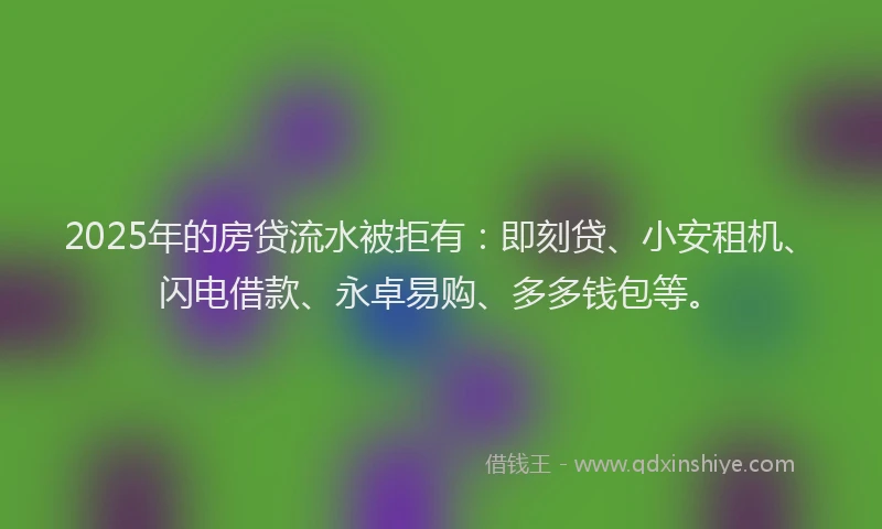 2025年的房贷流水被拒有：即刻贷、小安租机、闪电借款、永卓易购、多多钱包等。