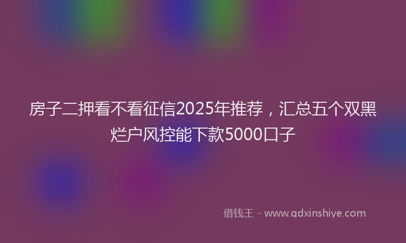 房子二押看不看征信2025年推荐，汇总五个双黑烂户风控能下款5000口子