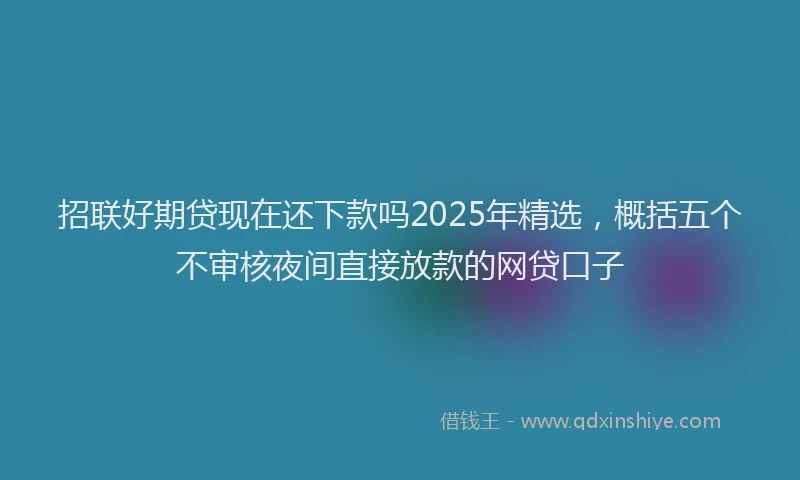 招联好期贷现在还下款吗2025年精选，概括五个不审核夜间直接放款的网贷口子