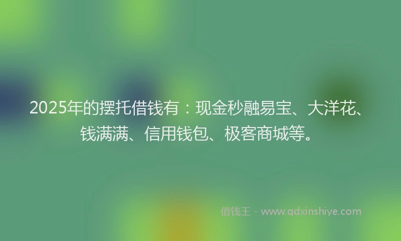 2025年的摆托借钱有：现金秒融易宝、大洋花、钱满满、信用钱包、极客商城等。