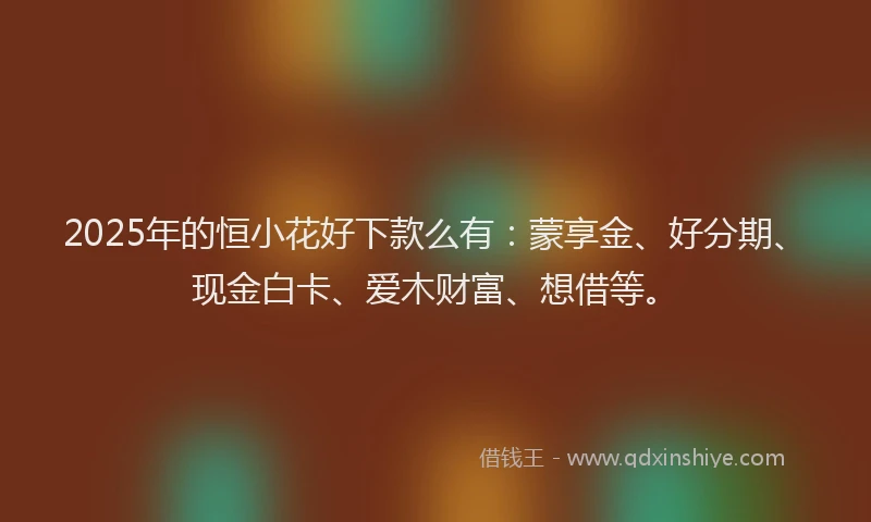 2025年的恒小花好下款么有：蒙享金、好分期、现金白卡、爱木财富、想借等。