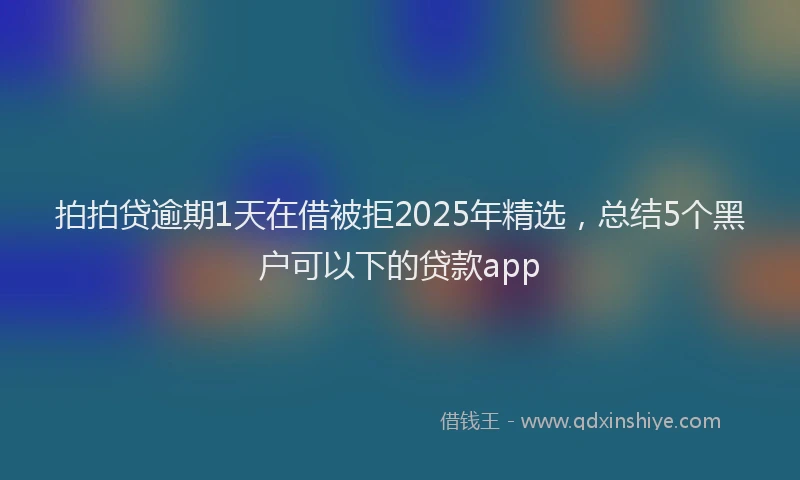 拍拍贷逾期1天在借被拒2025年精选，总结5个黑户可以下的贷款app