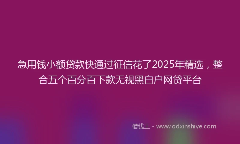 急用钱小额贷款快通过征信花了2025年精选，整合五个百分百下款无视黑白户网贷平台