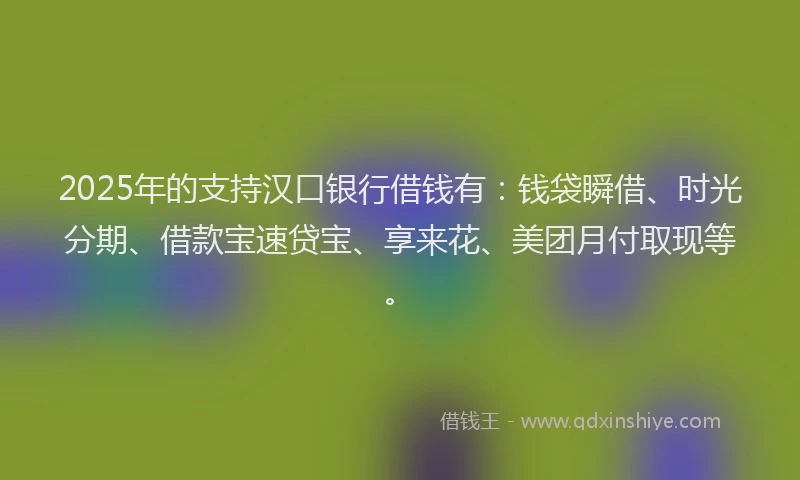 2025年的支持汉口银行借钱有：钱袋瞬借、时光分期、借款宝速贷宝、享来花、美团月付取现等。