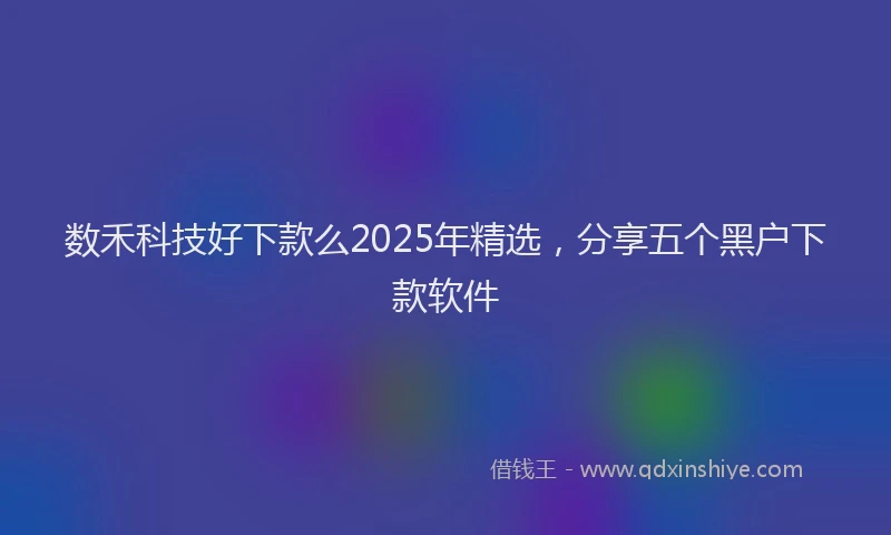 数禾科技好下款么2025年精选，分享五个黑户下款软件