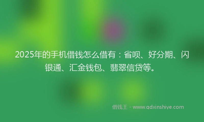 2025年的手机借钱怎么借有：省呗、好分期、闪银通、汇金钱包、翡翠信贷等。
