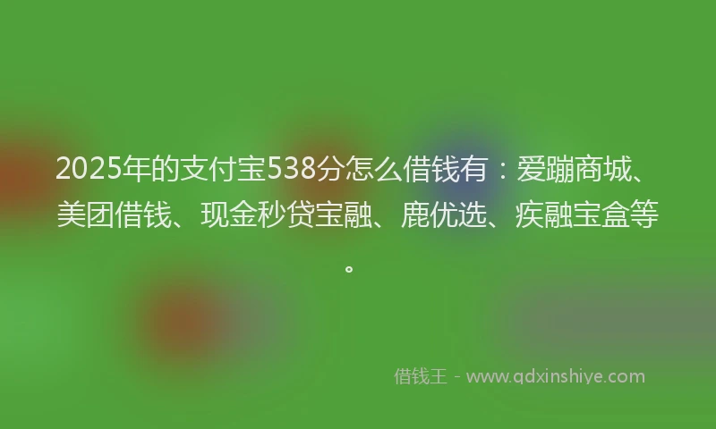 2025年的支付宝538分怎么借钱有：爱蹦商城、美团借钱、现金秒贷宝融、鹿优选、疾融宝盒等。