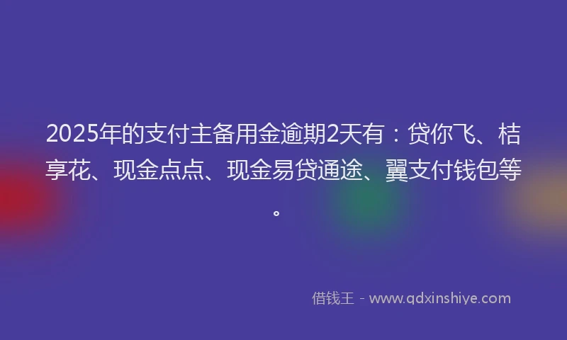 2025年的支付主备用金逾期2天有：贷你飞、桔享花、现金点点、现金易贷通途、翼支付钱包等。