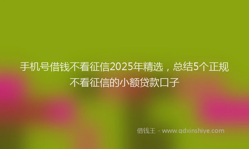 手机号借钱不看征信2025年精选，总结5个正规不看征信的小额贷款口子