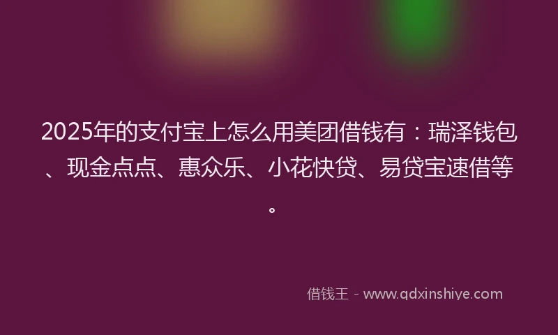 2025年的支付宝上怎么用美团借钱有：瑞泽钱包、现金点点、惠众乐、小花快贷、易贷宝速借等。