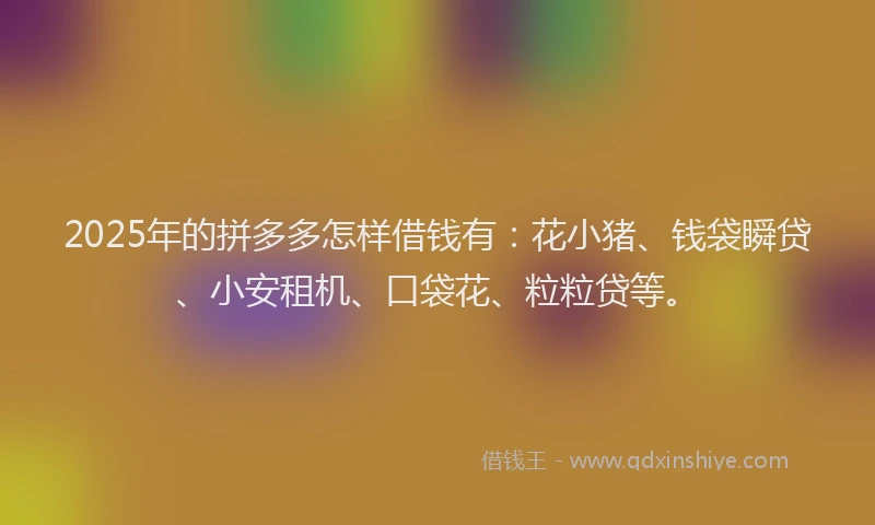 2025年的拼多多怎样借钱有：花小猪、钱袋瞬贷、小安租机、口袋花、粒粒贷等。