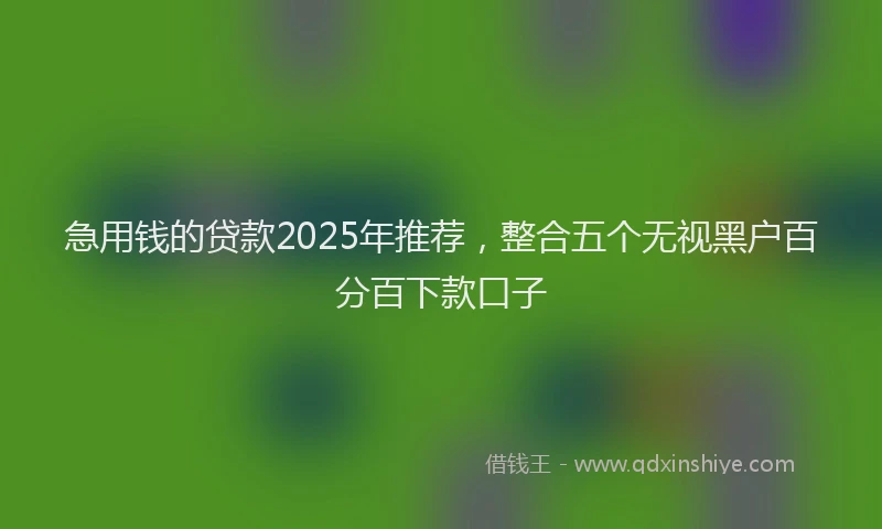 急用钱的贷款2025年推荐，整合五个无视黑户百分百下款口子