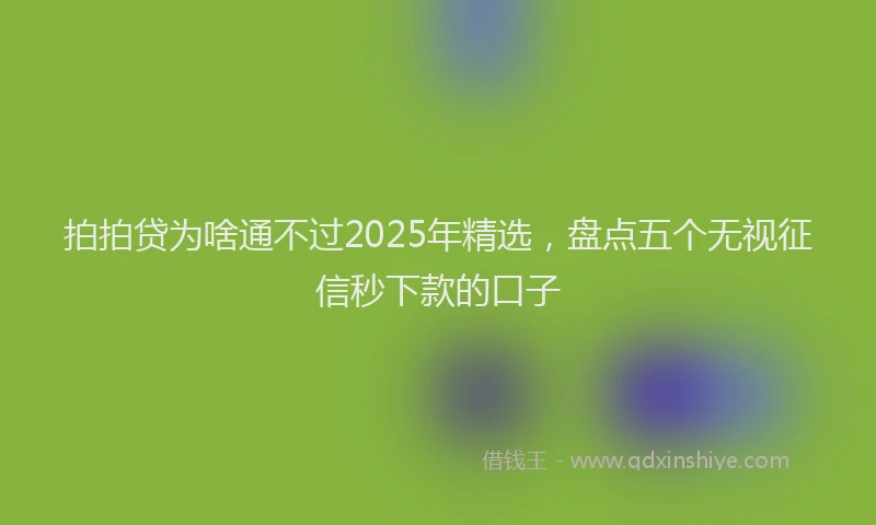 拍拍贷为啥通不过2025年精选，盘点五个无视征信秒下款的口子