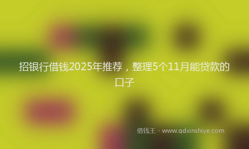 招银行借钱2025年推荐，整理5个11月能贷款的口子