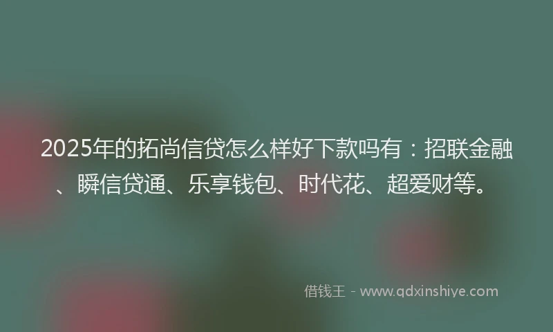 2025年的拓尚信贷怎么样好下款吗有：招联金融、瞬信贷通、乐享钱包、时代花、超爱财等。