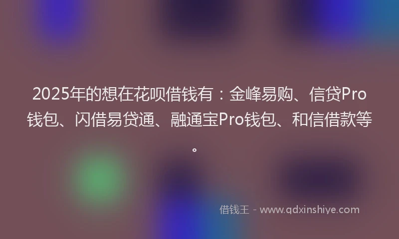 2025年的想在花呗借钱有：金峰易购、信贷Pro钱包、闪借易贷通、融通宝Pro钱包、和信借款等。