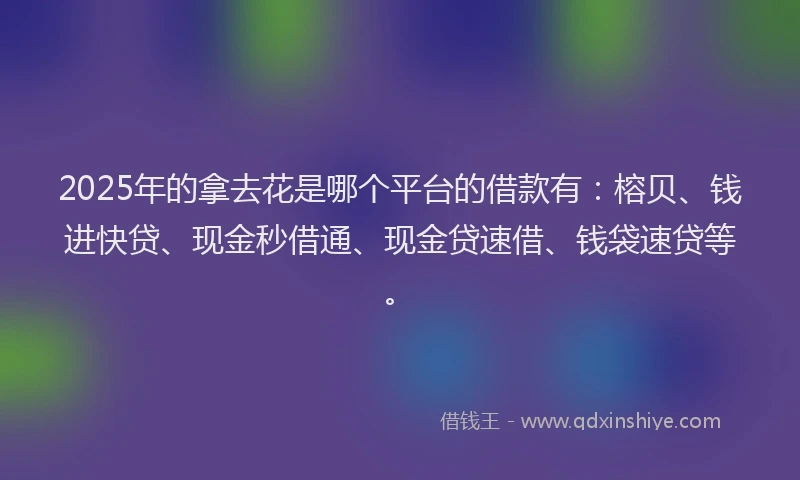 2025年的拿去花是哪个平台的借款有：榕贝、钱进快贷、现金秒借通、现金贷速借、钱袋速贷等。