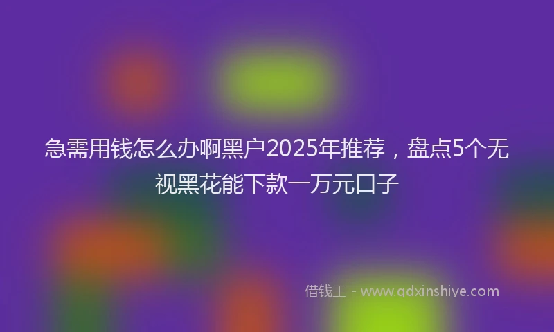 急需用钱怎么办啊黑户2025年推荐，盘点5个无视黑花能下款一万元口子