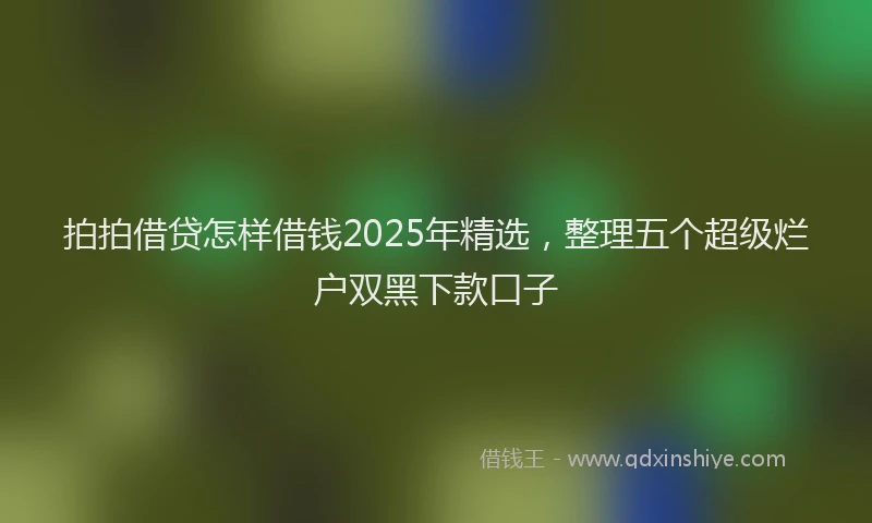 拍拍借贷怎样借钱2025年精选，整理五个超级烂户双黑下款口子