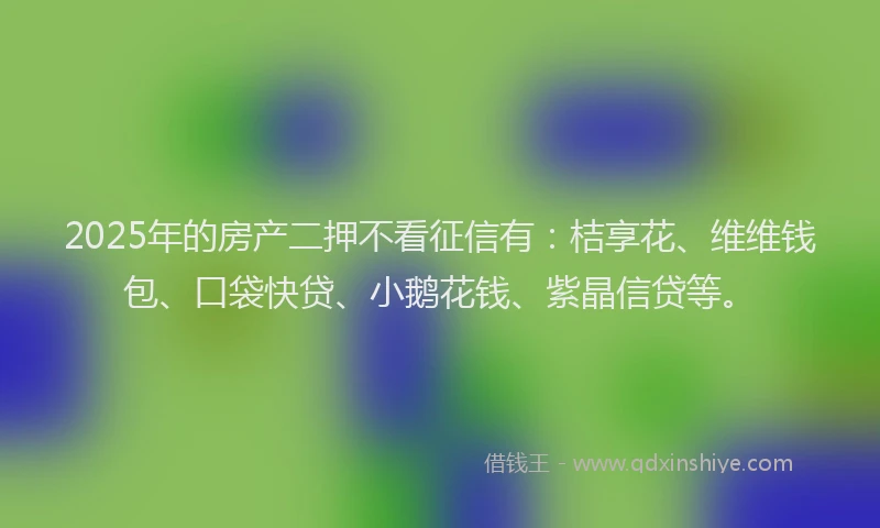 2025年的房产二押不看征信有：桔享花、维维钱包、口袋快贷、小鹅花钱、紫晶信贷等。
