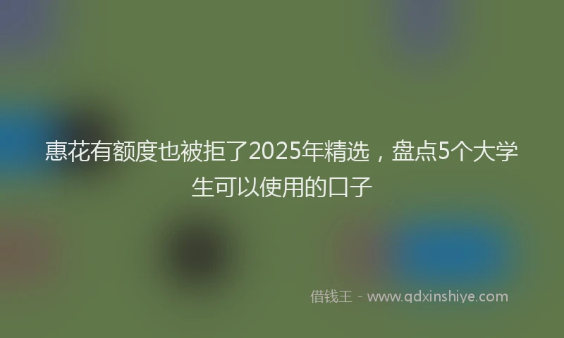 惠花有额度也被拒了2025年精选，盘点5个大学生可以使用的口子