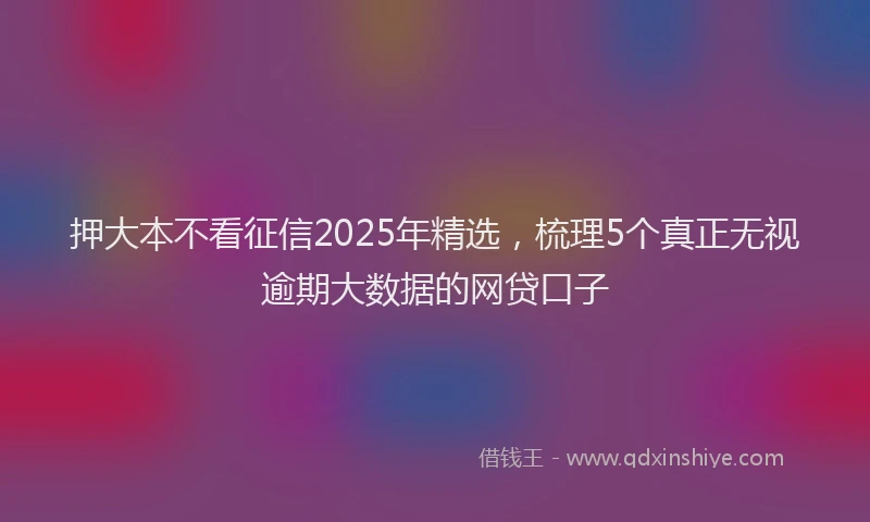 押大本不看征信2025年精选，梳理5个真正无视逾期大数据的网贷口子
